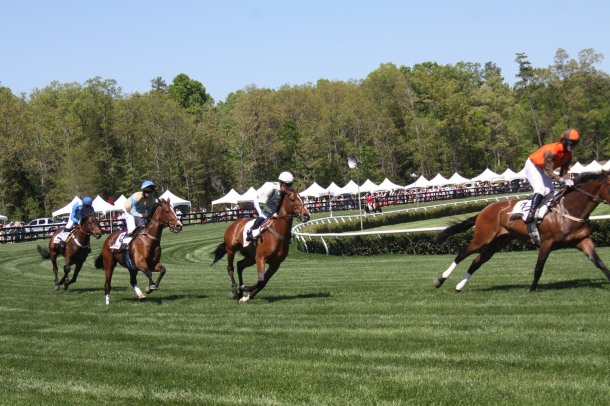 Queen's Cup Steeplechase 