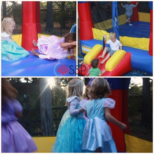 Sofia The First Birthday Party 