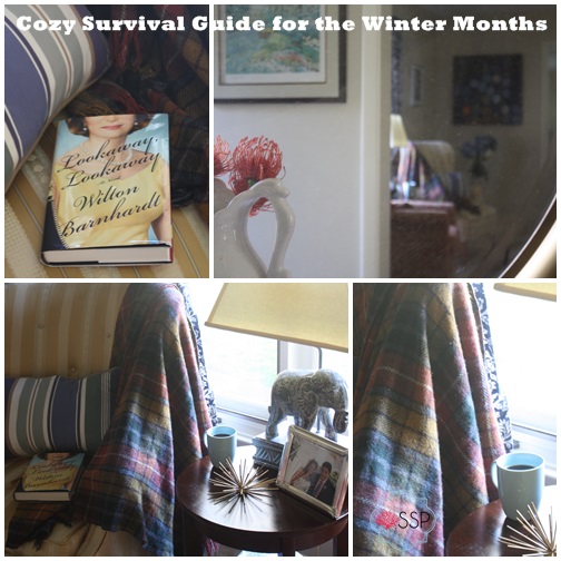Cozy Survival Guide for the Winter Months